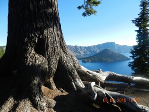 Crater Lake NP                                            